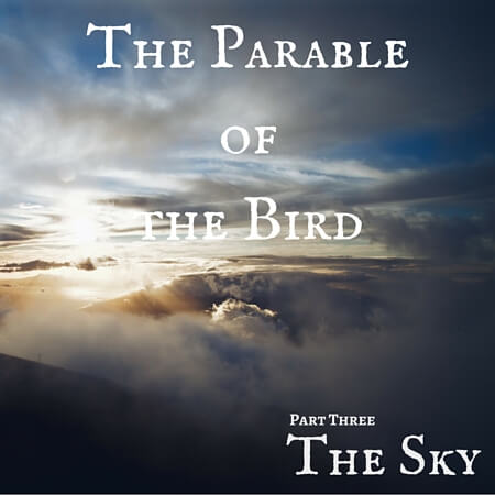 The Parable of the Bird Pt. 3