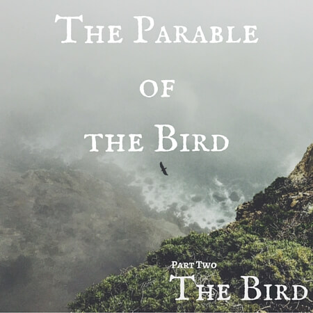 The Parable of the Bird Pt. 2